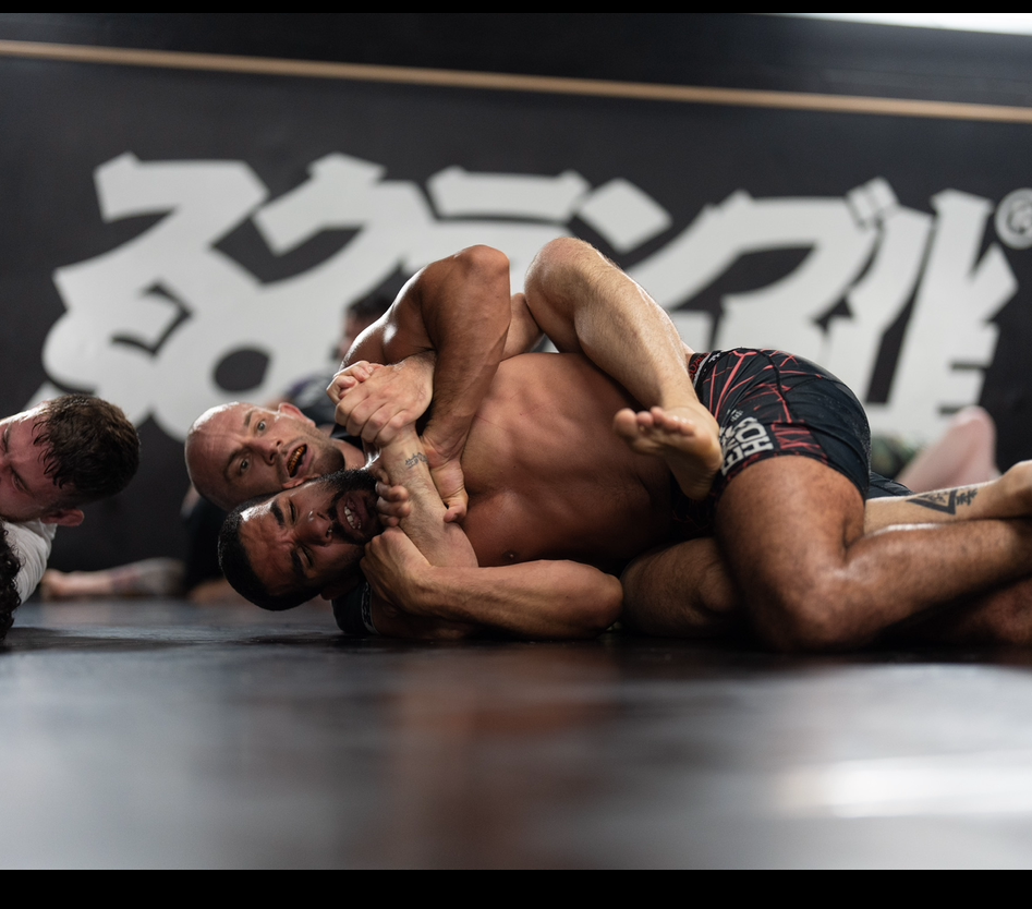 BJJ Beginner Programme Pass | 8 Week NOGI Introduction Programme | BJJ in Goole